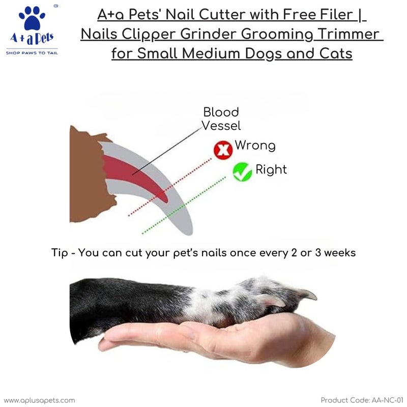 A+a Pets ' Nail Cutter with Free Filer | Nails Clipper Grinder Precision Grooming Trimmer for Big Dogs (Nailcutter) - Image 2