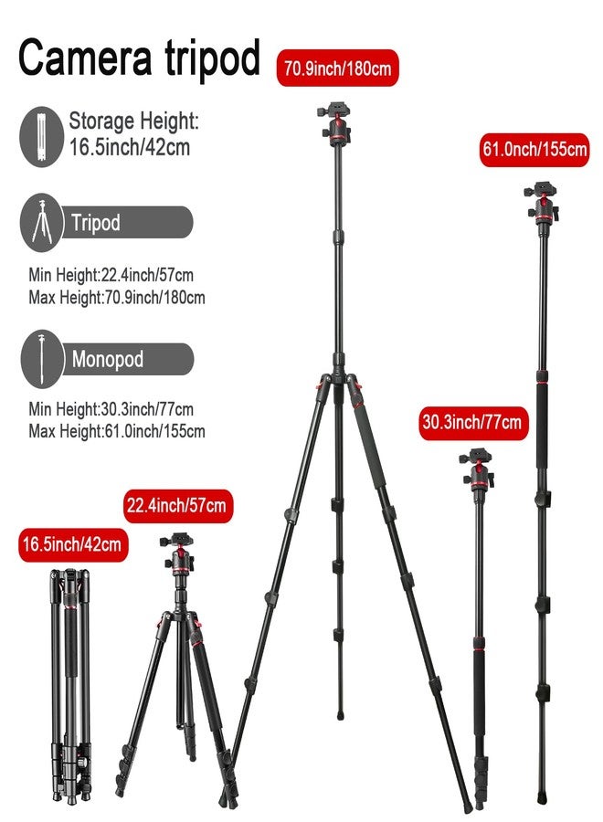 ZOMEi 173 cm/68 inch Camera Tripod Professional Aluminum Ball Head Tripod Outdoor Travel Monopod with Carry Bag Phone Holder Compatible with DSLR Binoculars Laser Telescope - Image 3