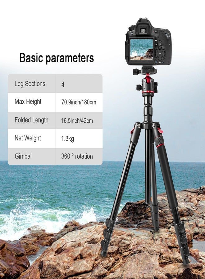 ZOMEi 173 cm/68 inch Camera Tripod Professional Aluminum Ball Head Tripod Outdoor Travel Monopod with Carry Bag Phone Holder Compatible with DSLR Binoculars Laser Telescope - Image 2