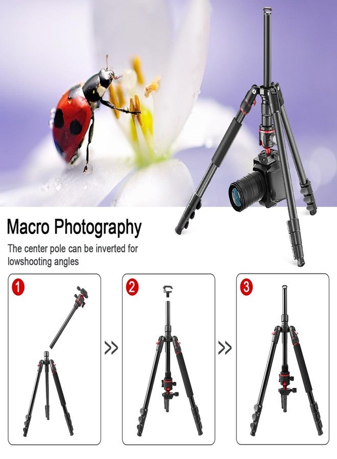 ZOMEi 173 cm/68 inch Camera Tripod Professional Aluminum Ball Head Tripod Outdoor Travel Monopod with Carry Bag Phone Holder Compatible with DSLR Binoculars Laser Telescope - Image 5