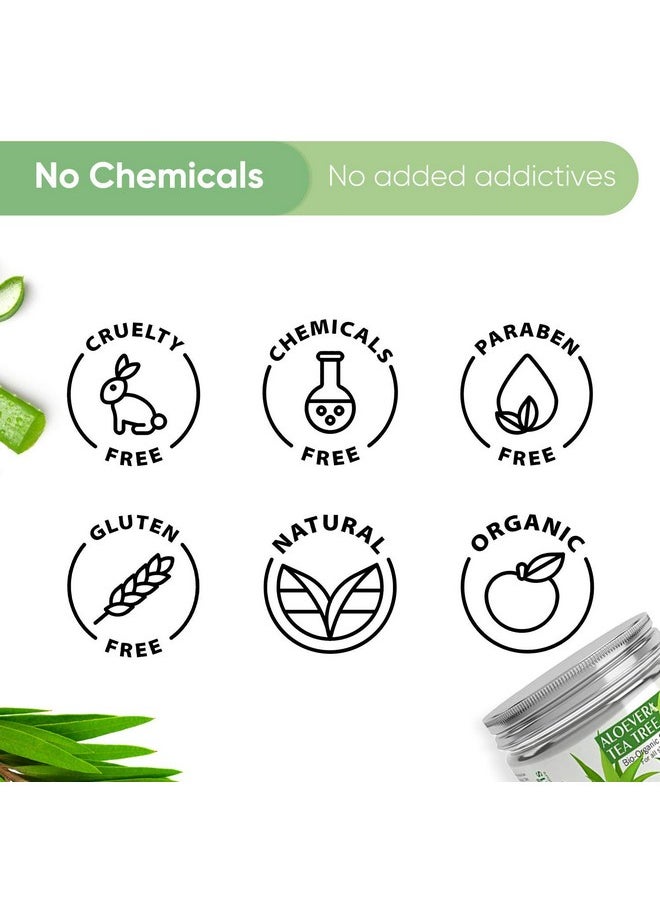 Naturalis - Naturalis Essence of Nature Aloe Vera Gel with Tea Tree | Vitamin C & E for Skin | Helps to Repair and Smoothens Hair | Relax and Renew your Skin and Scalp| 300g - Image 1