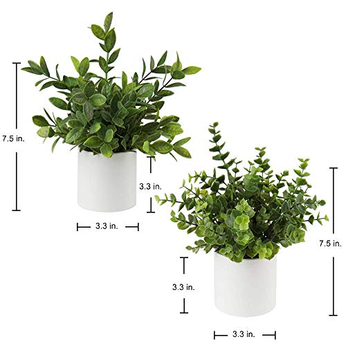 Briful Mini Fake Plants Set of 2 Small Faux Plant Eucalyptus Rosemary Greenery Potted Plants Artificial Decor for Home Table Office Room Desk Bathroom Shelf Kitchen Farmhouse Mantel Decoration - Image 2