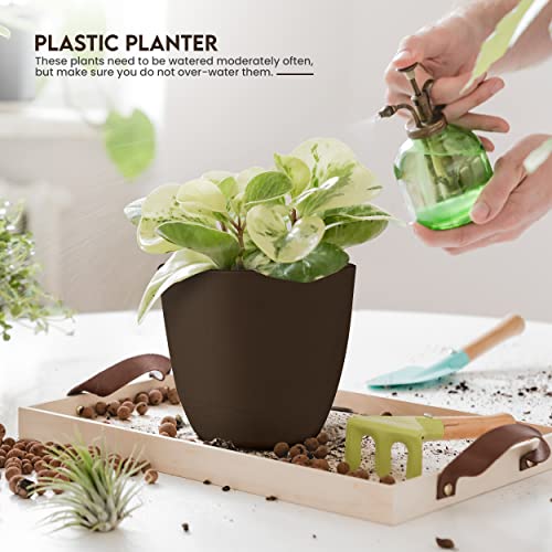 Utopia Home - Plant Pots Indoor with Drainage - 7/6.6/6/5.3/4.8 Inches Garden Flower Pots for Indoor Planter - 5 Pack Brown Plastic Planters - Ideal for Stocking Stuffers or Room, Office Home Decor - Image 4