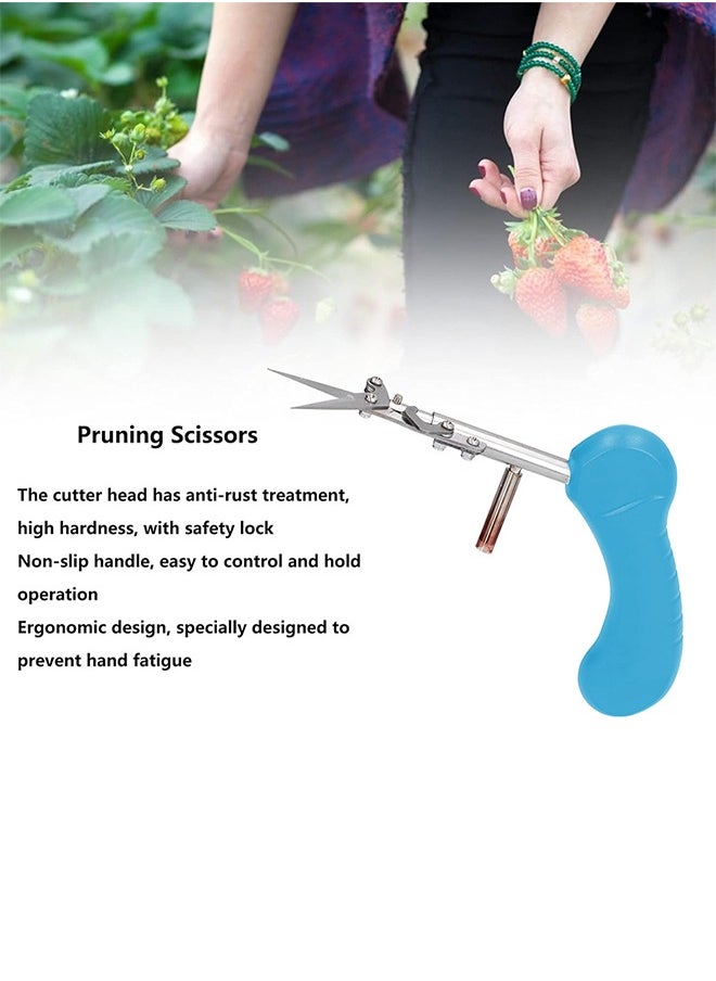 Generic Fruit and herb cutting scissors non slip and comfortable  - Image 3