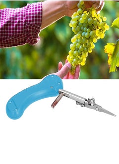 Generic Fruit and herb cutting scissors non slip and comfortable  - Image 2