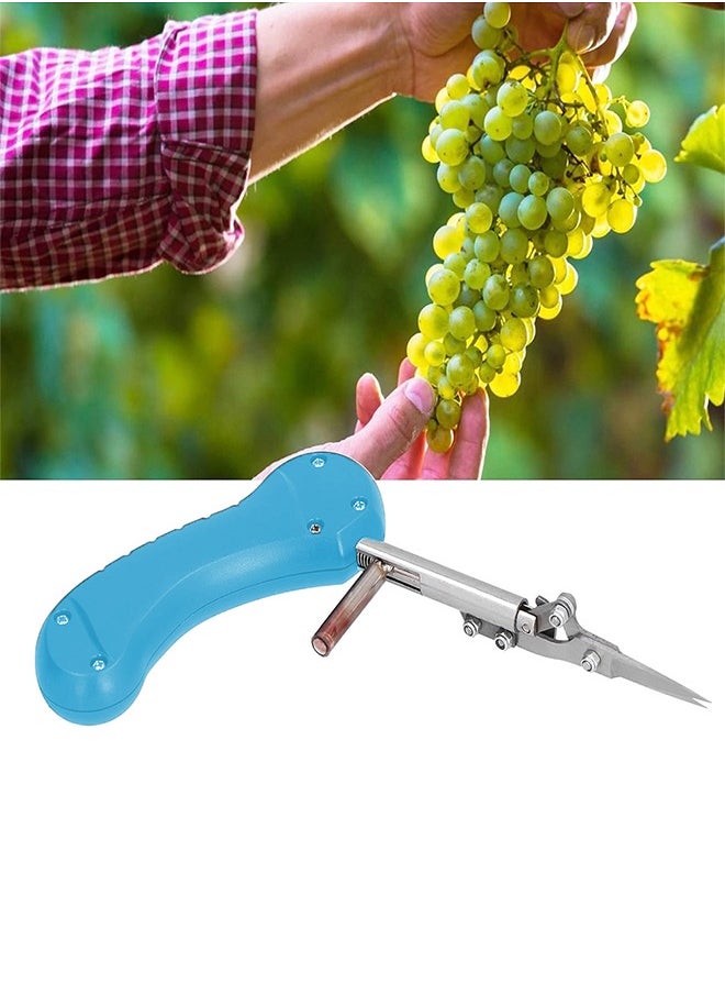 Generic Fruit and herb cutting scissors non slip and comfortable  - Image 2