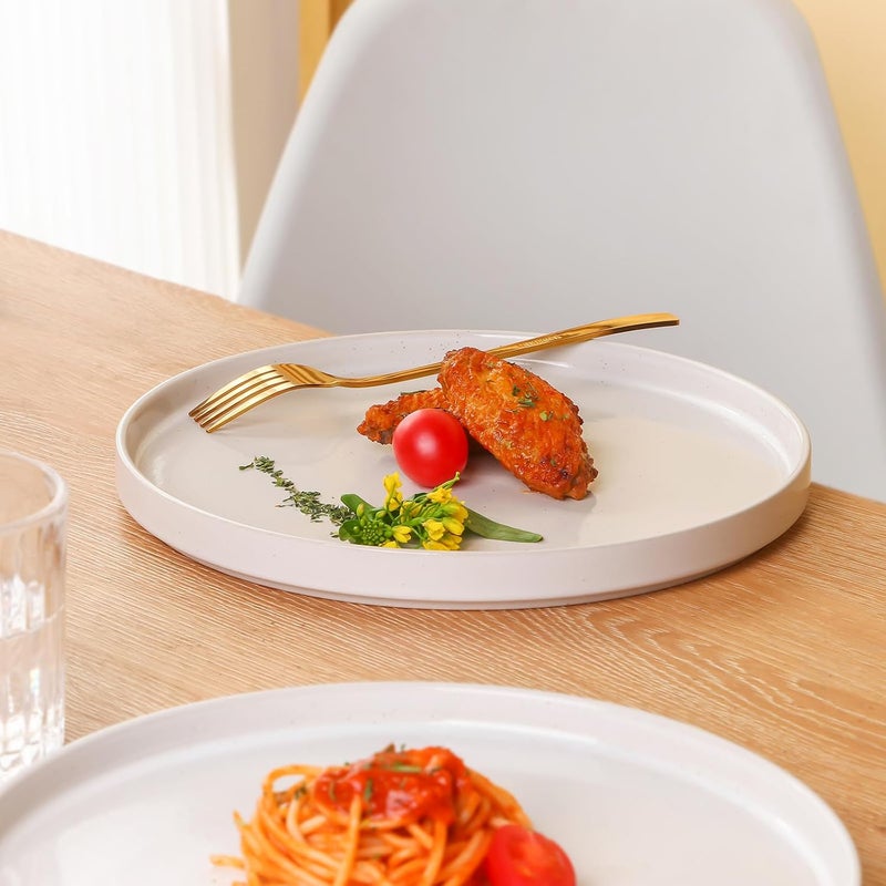 STARMOON STAR MOON 10 Inch Dinner Plates Set of 6 Ceramic Plates Set Salad Plates Scratch Resistant Ceramic Dish Set for Steak Salad Pasta Microwave  Dishwasher Safe - Image 5