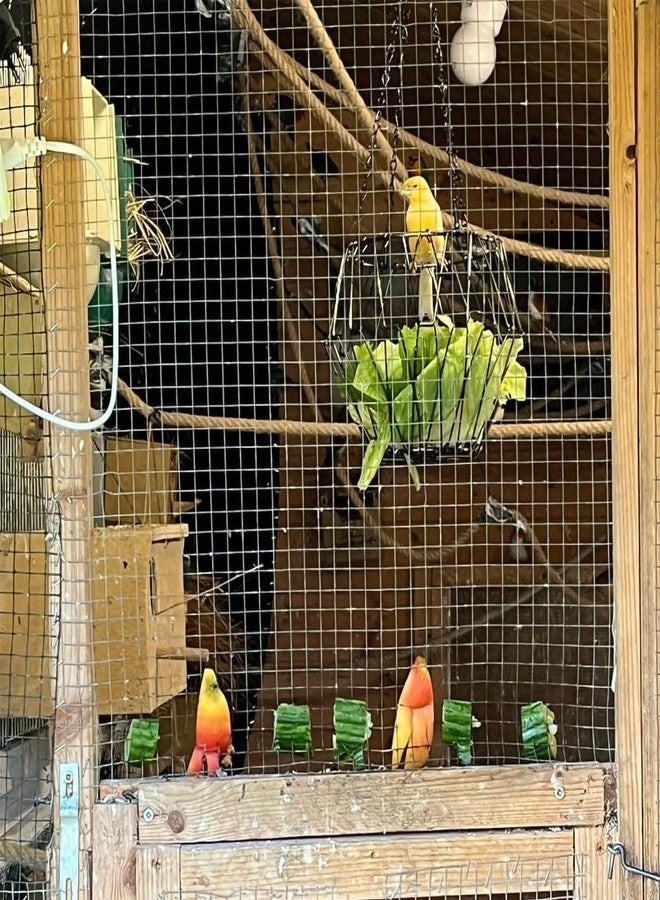 Journdream Hanging Bird Feeder Accessories,Foldable Parrot Fruits Vegetables Feeder with 4pcs Adjustable 17inch Hanging Chain,Bird Swing Toys for Parrot Sparrow Oriole,for Courtyard Porch Indoor Outdoor - Image 5