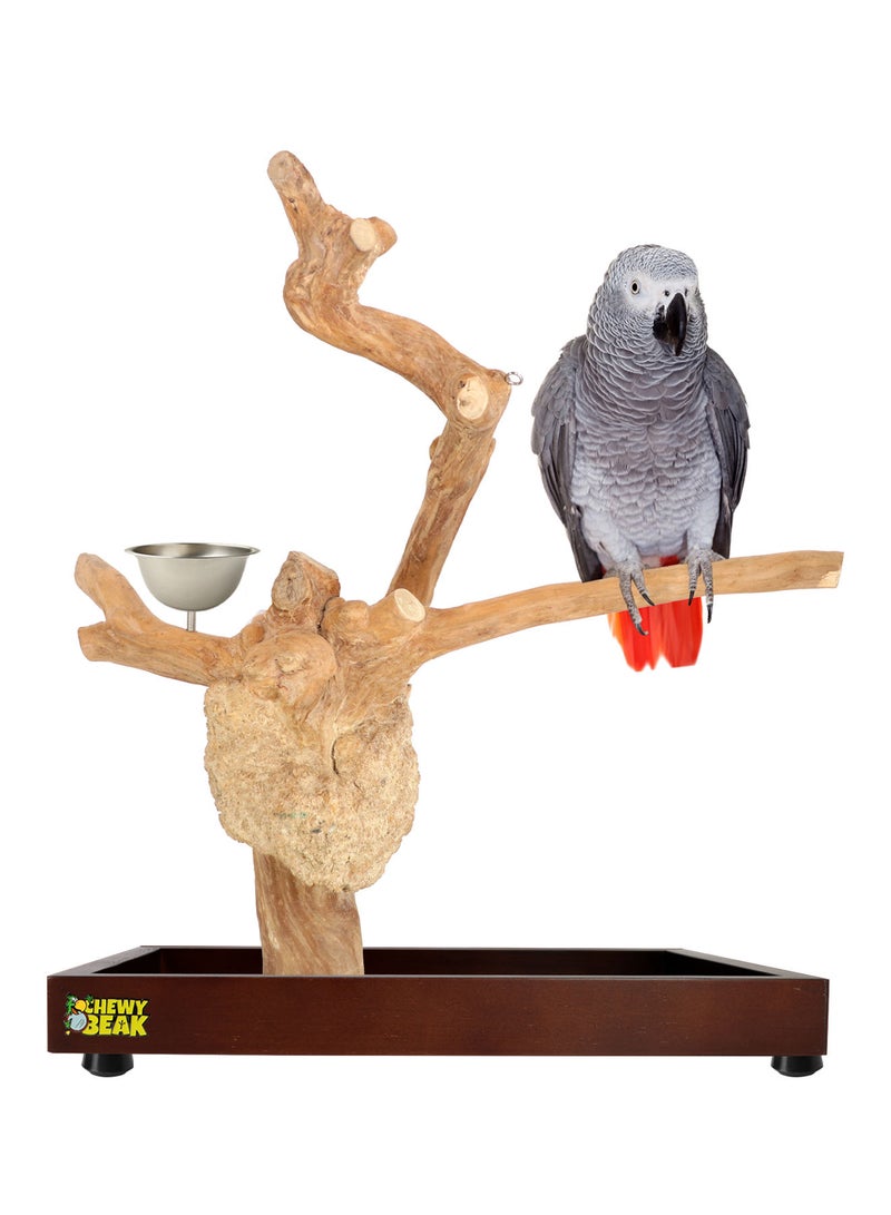 CHEWY BEAK Bird Stand Table Top Natural wooden Parrot Play Stand Indonesian Java wood Tree Perches with Stainless steel feeder medium size - Image 1