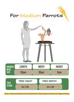 CHEWY BEAK Bird Stand Table Top Natural wooden Parrot Play Stand Indonesian Java wood Tree Perches with Stainless steel feeder medium size  - Image 2