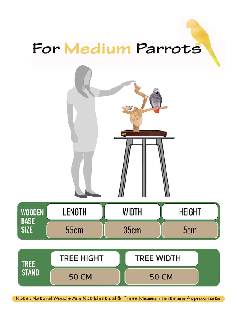CHEWY BEAK Bird Stand Table Top Natural wooden Parrot Play Stand Indonesian Java wood Tree Perches with Stainless steel feeder medium size - Image 2