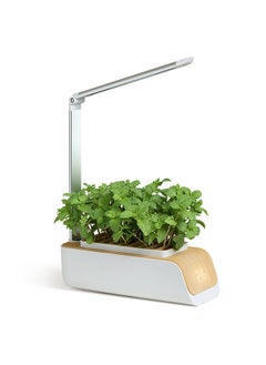 Hydroponics Growing System, Indoor  Garden Kit with Grow Light, Smart Garden for Home and Kitchen, Indoor Plant Growing System,  Grower Vegetable Gardening System