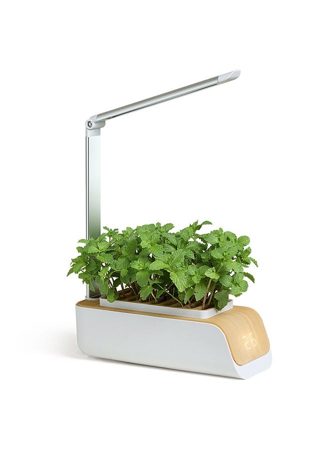 Generic - Hydroponics Growing System, Indoor  Garden Kit with Grow Light, Smart Garden for Home and Kitchen, Indoor Plant Growing System,  Grower Vegetable Gardening System - Image 1