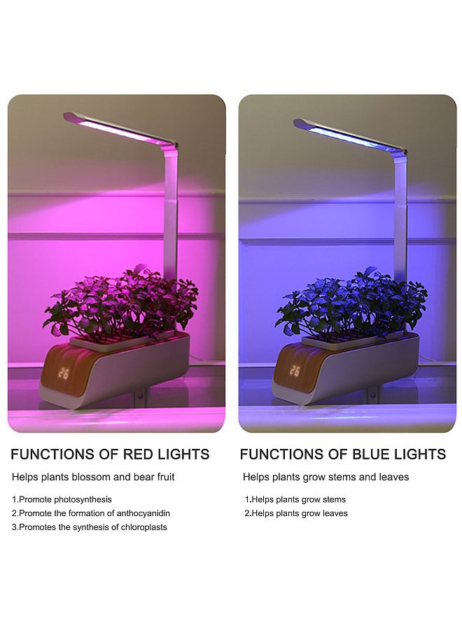 Generic - Hydroponics Growing System, Indoor  Garden Kit with Grow Light, Smart Garden for Home and Kitchen, Indoor Plant Growing System,  Grower Vegetable Gardening System - Image 1