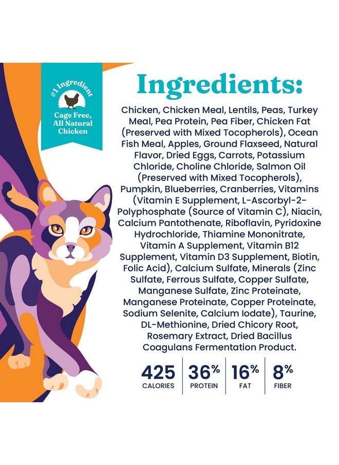 solid gold - Solid Gold Indoor Dry Cat Food - Let's Stay in Cat Food Dry Kibble for Indoor Cats - Hairball & Sensitive Stomach - Grain & Gluten Free - Probiotics & Fiber for Digestive Health - Chicken - 3lb - Image 1