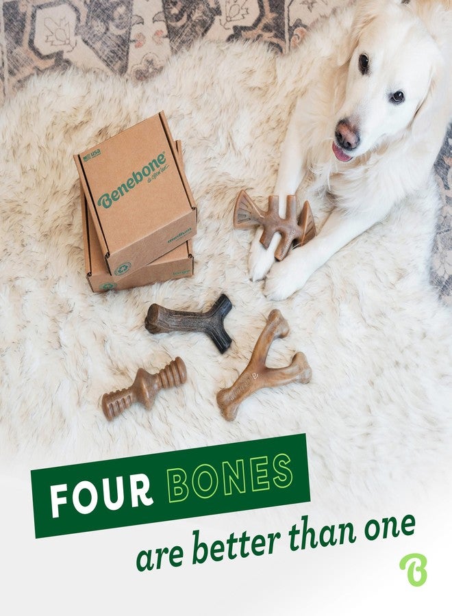 Benebone Small 4-Pack Dog Chew Toys for Aggressive Chewers, Made in USA, 30lbs and Under - Image 4