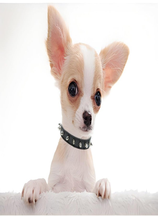 Weimostar Spiked Dog Collar for Small Dogs, Soft Pu Leather Rivet Spike Stud Studded Cat Collars Adjustable for Girl Boy Small Breed Pet Teacup Chihuahua Puppy Kitten Black XS - Image 3