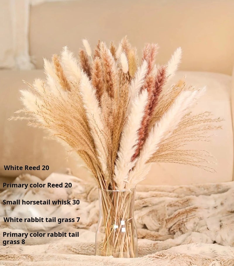 Y&D G43 Pampas Grass Bouquet, 80pcs Natural Dried Phragmites Flowers for Wedding Home Decor, Valentine's Day Christmas Dried Plants - Image 1