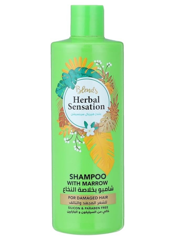 Herbal Herbal Sensation Shampoo Damaged Hair Marrow 600 ML 