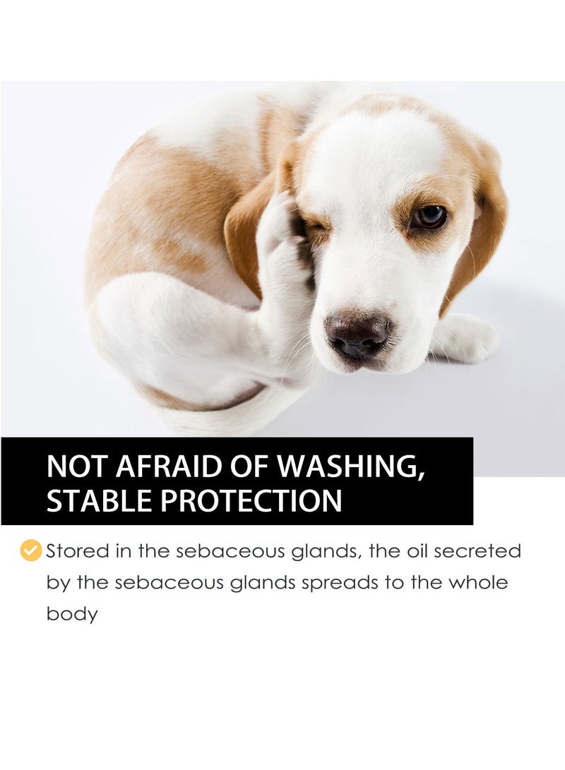 Yegbong Pet External Insect Repellent Drops Dog and Cat Drops Spray Cleaning and Removing Lice Sub-tick flea 30ml - Image 3