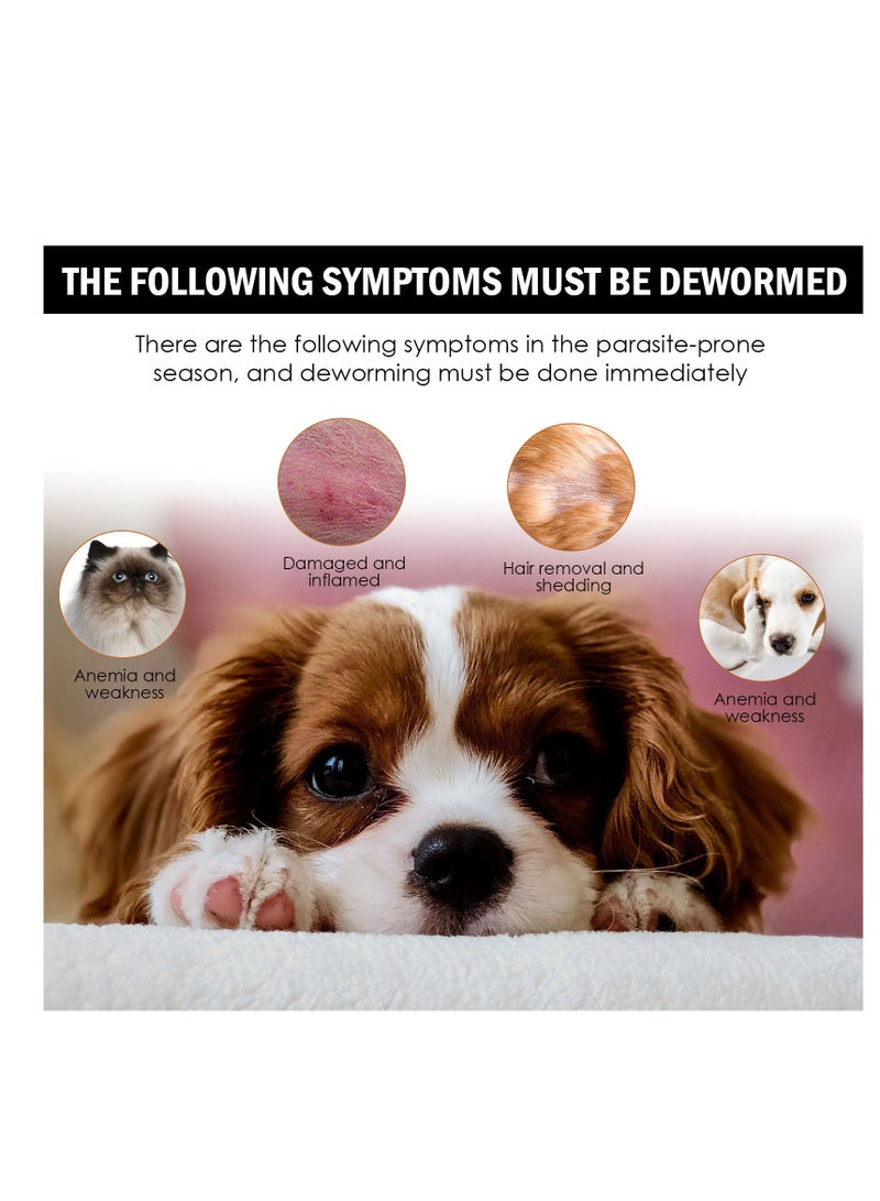 Yegbong Pet External Insect Repellent Drops Dog and Cat Drops Spray Cleaning and Removing Lice Sub-tick flea 30ml - Image 4