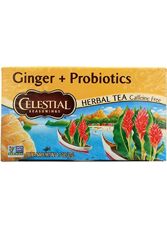 CELESTIAL SEASONINGS Ginger & Probiotics Herbal Tea 20 Ct - Image 2
