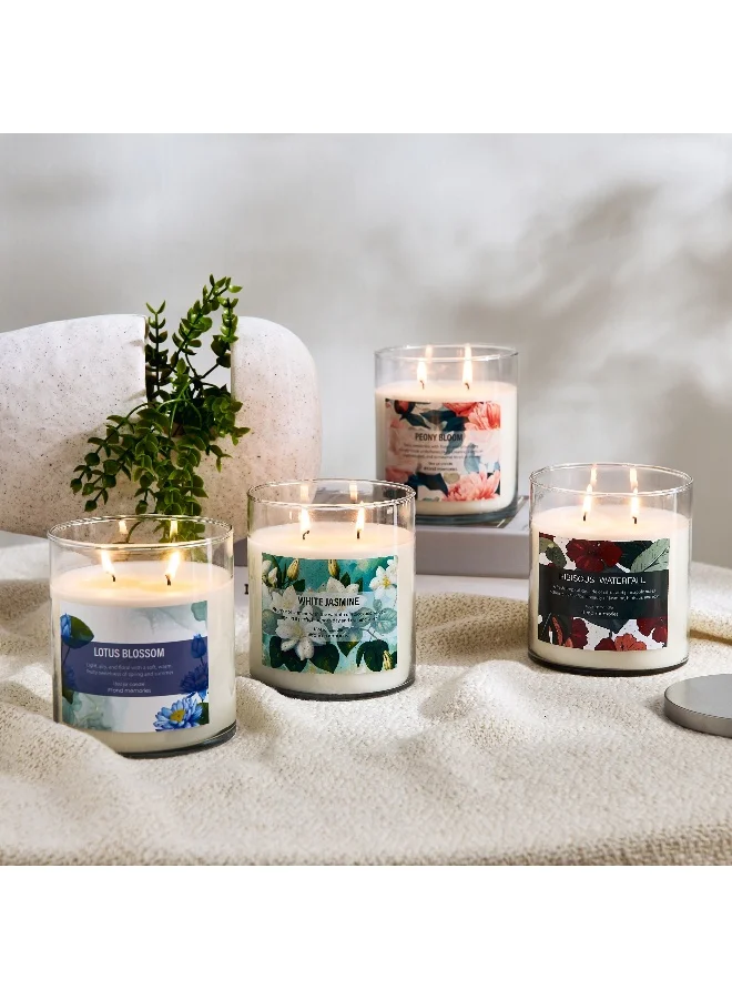 Home Box Aure 18oz Glass Jar Candle with Metal Lid - 10.7x13.2 cm