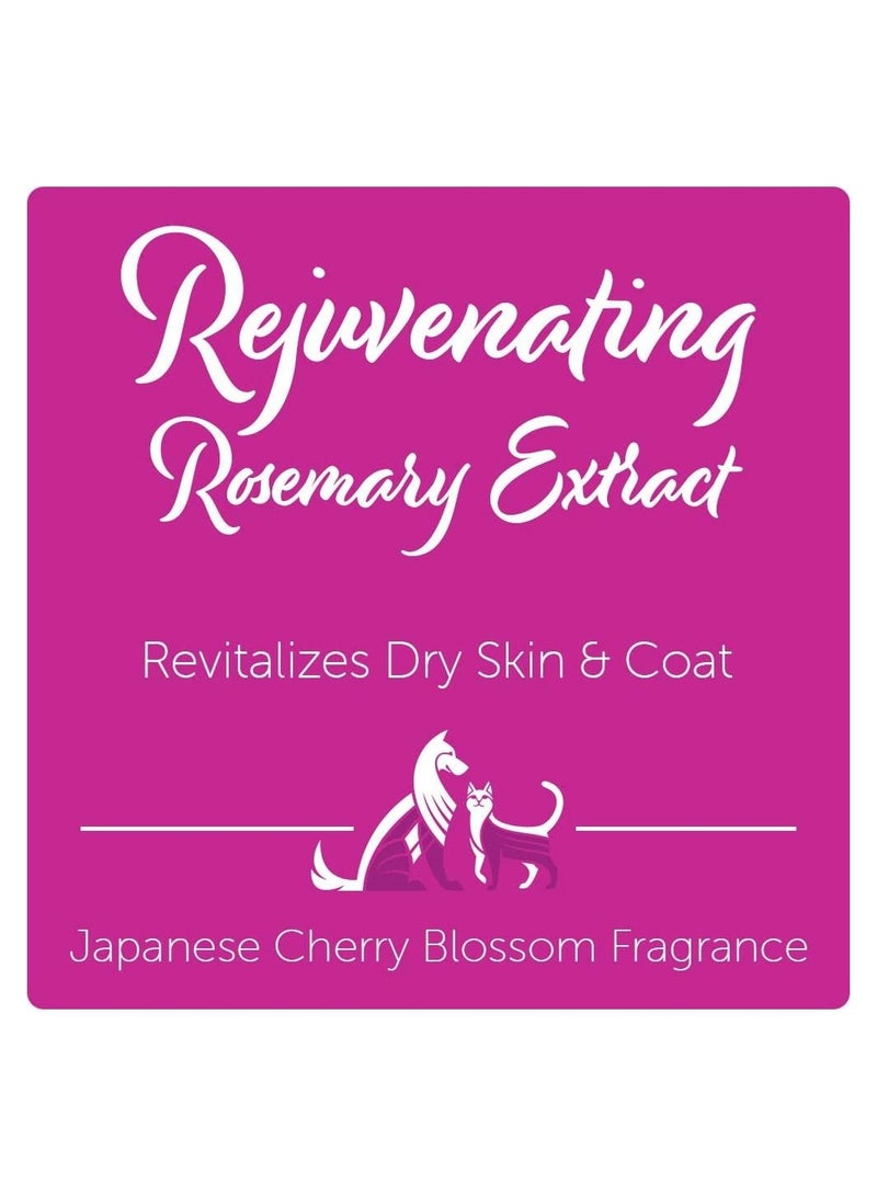 nootie Rejuvenating Rosemary Extract Pet Shampoo Japanese Cherry Blossom Scented 473 ml - Image 2
