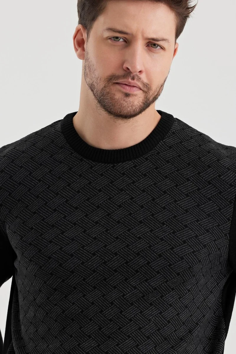 الكسندر جاردي Alexandergardi Crew Neck Patterned Regular Fit Sweater (E24-EZE-01)