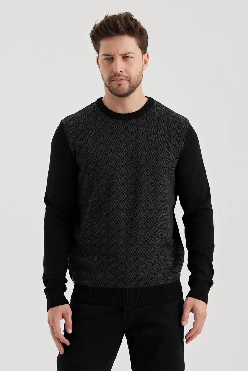 الكسندر جاردي Alexandergardi Crew Neck Patterned Regular Fit Sweater (E24-EZE-01)