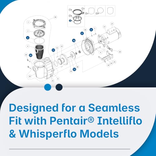 Southeastern Accessory O-Ring Repair Rebuild Kit for Pentair® Intelliflo Whisperflo Pump Rebuild Kit 32 - Pentair® Pump Repair Parts for All Years - Image 4