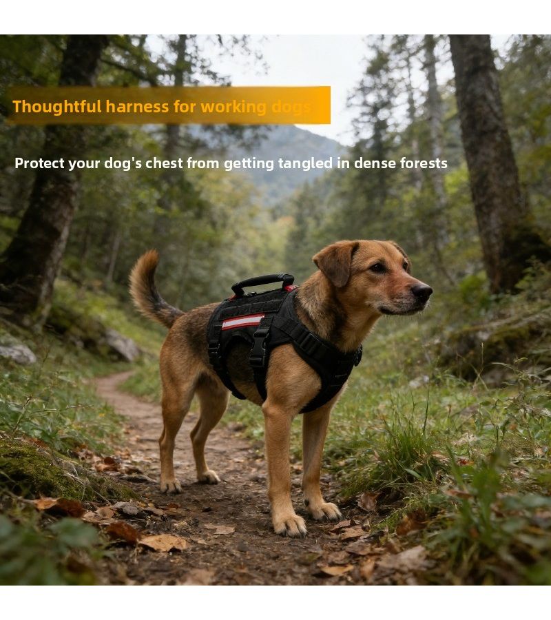 Black Chest Strap With 59 06 Inch Pull Rope Small Size Pet Anti Escape Buckle Type Training Harness And Matching Leash Set For Outdoor Training For Large Dogs - Image 1