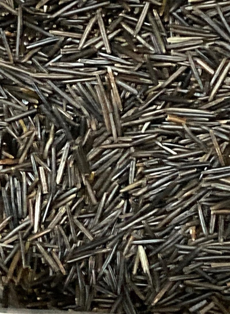 GGOOT Wild Rice Seeds - Grow Your Own - GMO Free - Organic - 10 Seeds 