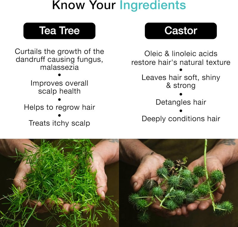 Soulflower TEA TREE OIL FOR HAIR & SCALP, ANTI DANDRUFF, ANTI HAIR LOSS, 100% PURE, NATURAL, COLDPRESSED, ENRICHED WITH TEA TREE ESSENTIAL OIL, VEGAN, 225ML - Image 1