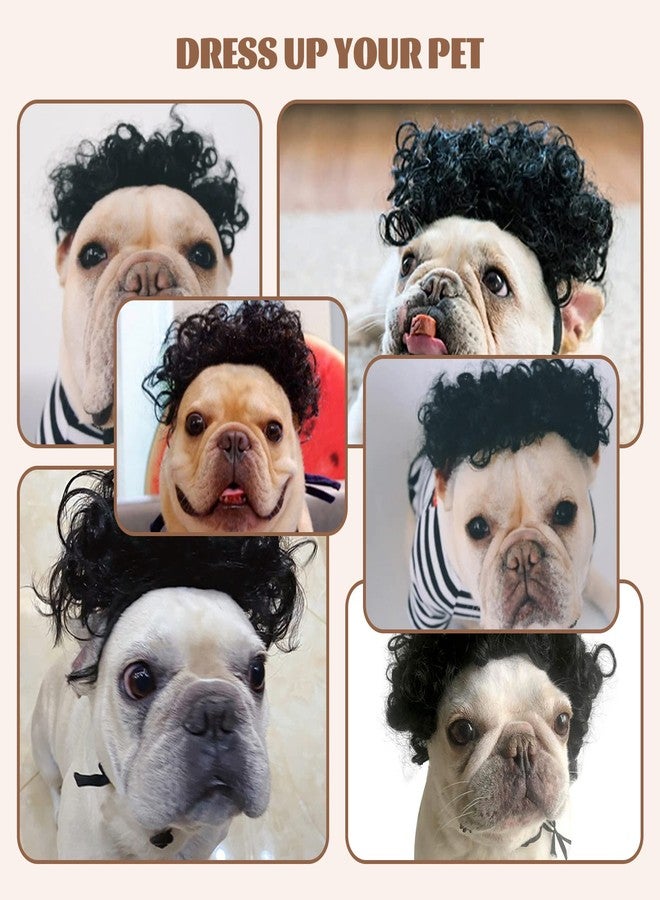 HOWWFALY Dog Costume Cat Apparel Dog Toys Curly Braids Headgear Wigs Styling Cute Funny Pet Hair Accessories Decoration for Halloween, Christmas, Parties (Black) - Image 5