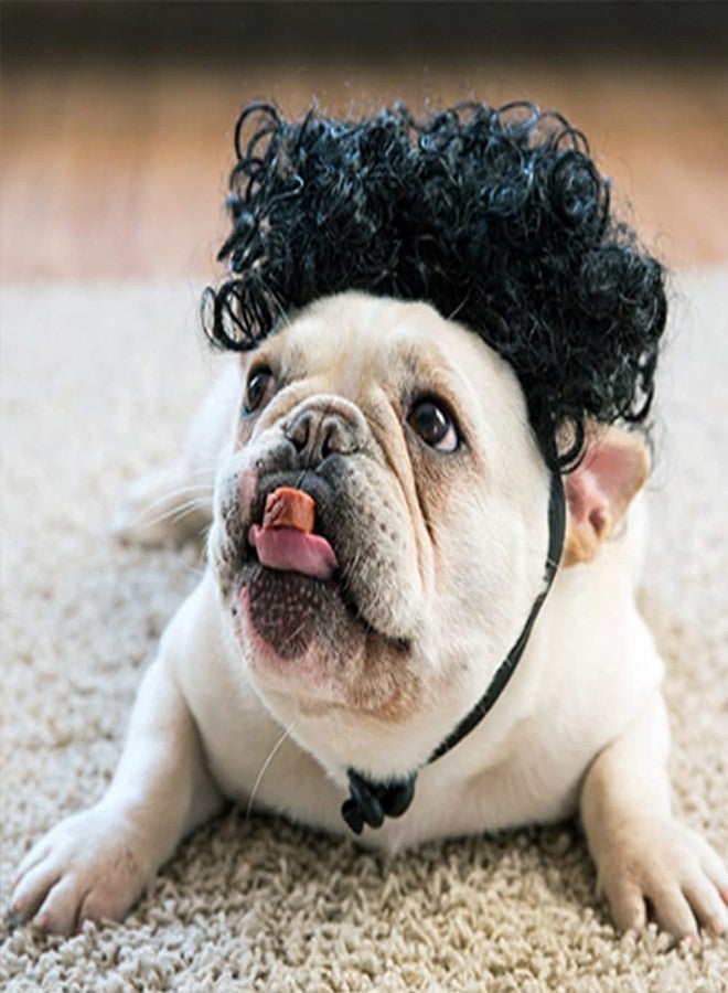 HOWWFALY Dog Costume Cat Apparel Dog Toys Curly Braids Headgear Wigs Styling Cute Funny Pet Hair Accessories Decoration for Halloween, Christmas, Parties (Black) - Image 1