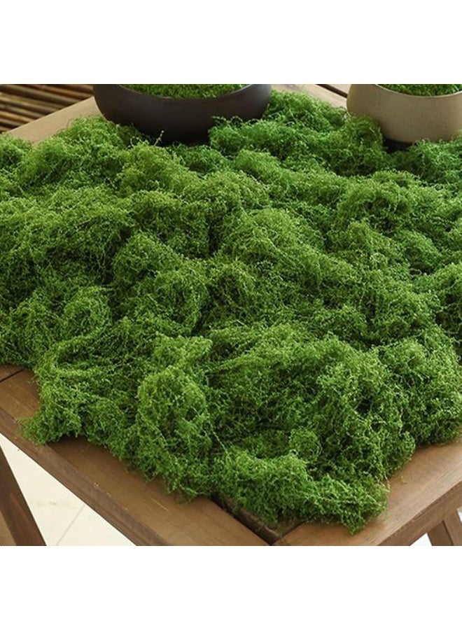 Artificial Fake Moss - 400g Natural Preserved Moss, Fake Craft Moss | Colorfast Potted Plant Centerpieces Decor, Fairy Grass Lawn Miniature Ornament, Green Moss Craft for Paintings Moss Walls - Image 4