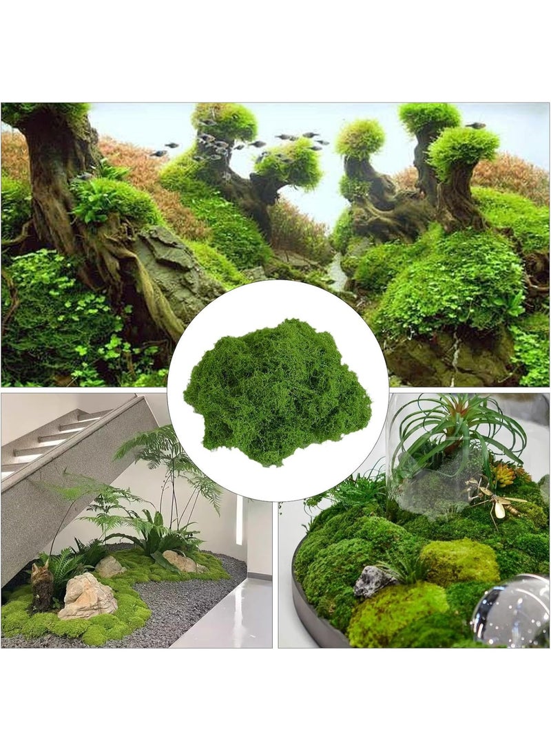 Artificial Fake Moss - 400g Natural Preserved Moss, Fake Craft Moss | Colorfast Potted Plant Centerpieces Decor, Fairy Grass Lawn Miniature Ornament, Green Moss Craft for Paintings Moss Walls - Image 3