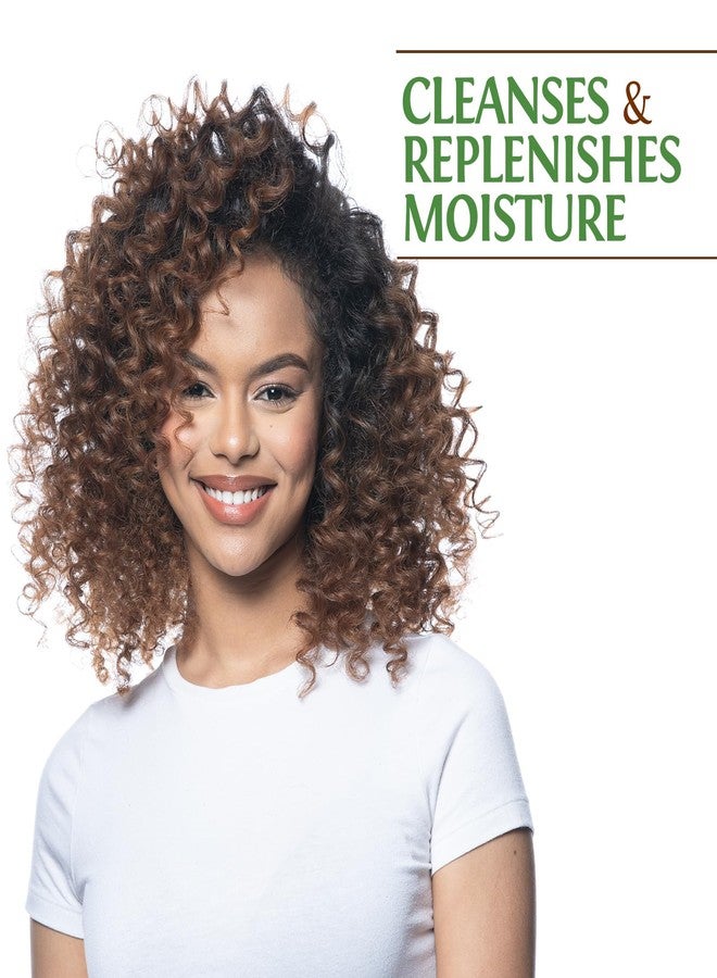 BioSilk Silk Therapy with Natural Coconut Oil Moisturizing Shampoo, Cleanses & Replenishes Moisture, Sulfate, Paraben & Cruelty-Free, 5.64 Oz - Image 2