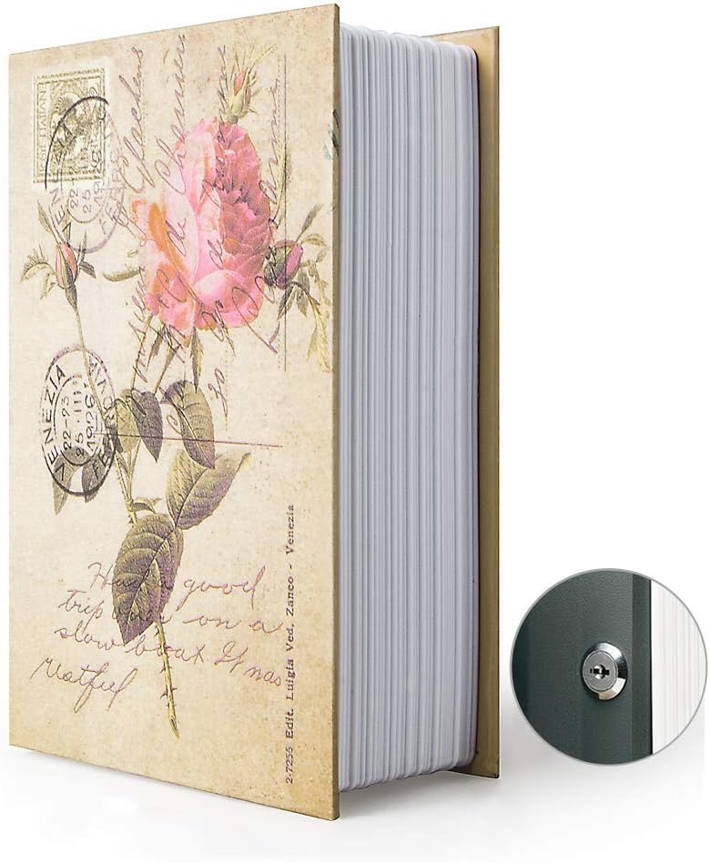 PACOLO Diversion Book Safe Storage Box (9.5"×6"×2.2"), Dictionary Secret Safe Can with Security Key Lock, Diversion Book Hidden Safe (Rose,Key) - Image 1