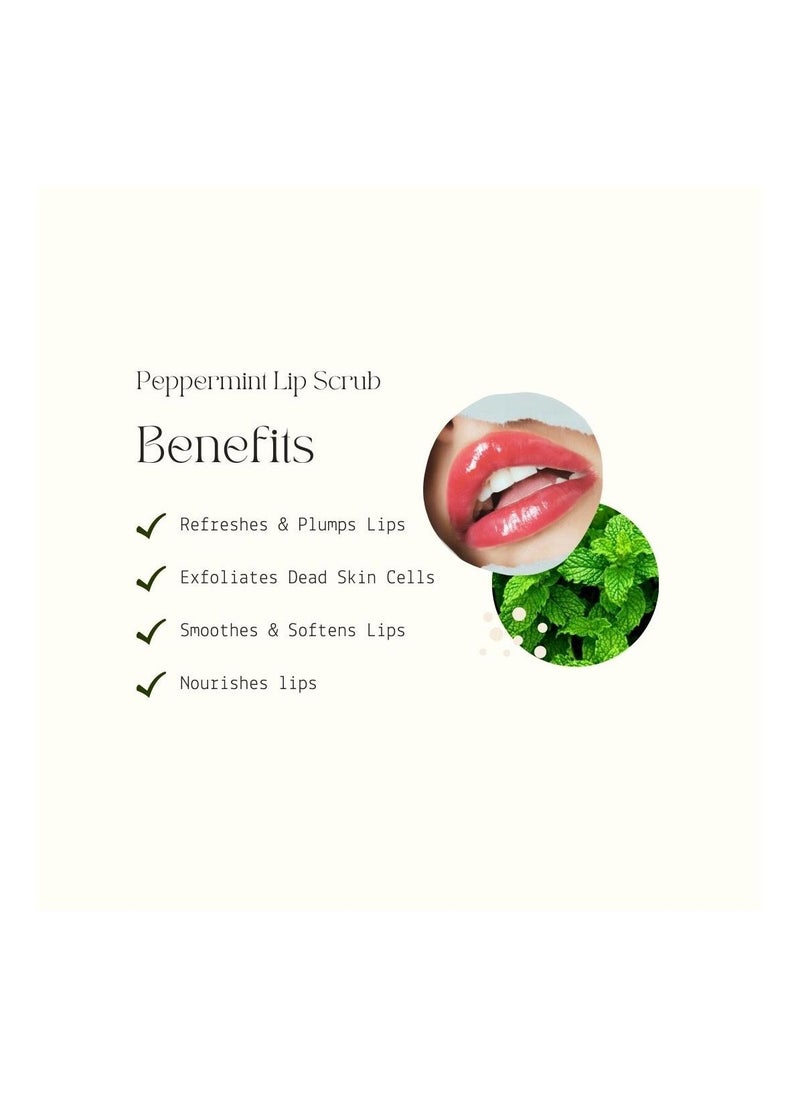 Silky Skin Peppermint Natural Plumping Lip Scrub Lip Repair For Chapped Dry Lips With Shea Butter and Vitamin E Cool 30 g  - Image 4