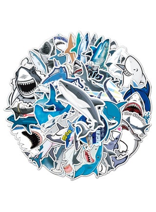 Shark
