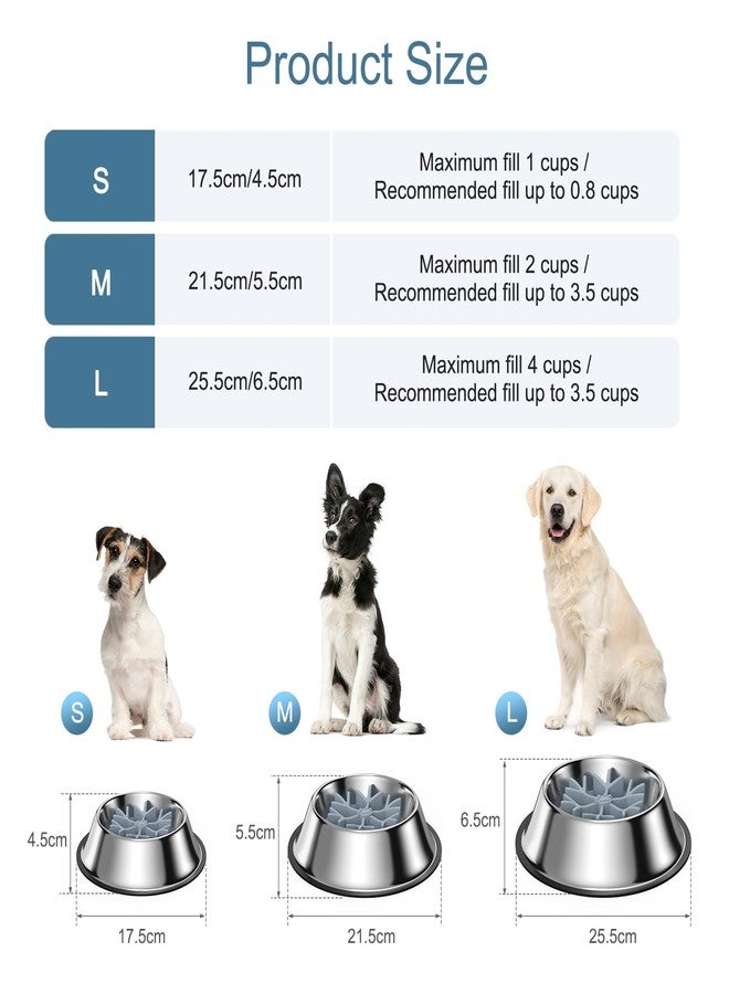 Ankilo 2-in-1 Metal Dog Bowl with Slow Feeder Insert, Food Grade 304 Slow Feeder Dog Bowls, Non-Slip Bottom, Pet Slower Food Feeding Bowls for Increases Feeding Time, Reduces Digestive Problems (M) - Image 5