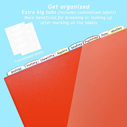 WOT I 8-Tab Binder Dividers with Clear Front Pocket - 3 Sets, Reusable Plastic Pocket Dividers for 3 Ring Binder, 4 Vibrant Colors, Tear-Resistant, Total 24 Tabs - Image 3