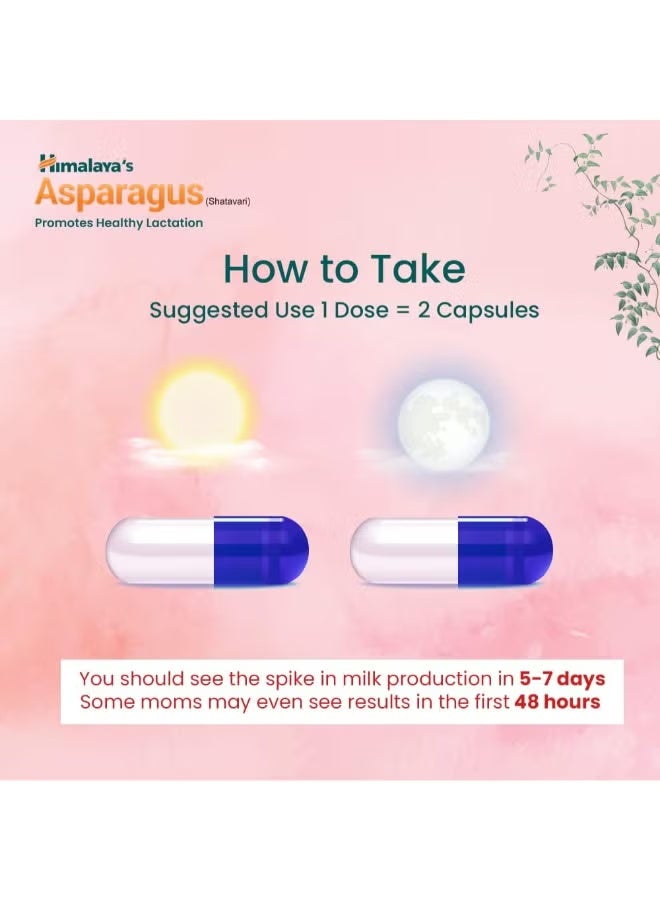 Himalaya Shatavari, Supports Women's Health, Promotes Healthy Lactation, Herbal 60 Veggie Capsules - Image 2