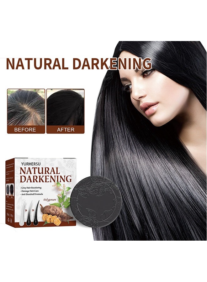 YURHERSU Natural Darkening-Polygonum Multiflorum Shampoo Soap100g ，Black and Thick Hair Polygonum Soap Bar, He Shou Wu Shampoo Soap, Natural Polygonum Hair Soap, Promotes Hair Growth and Prevents Hair Loss - Image 1