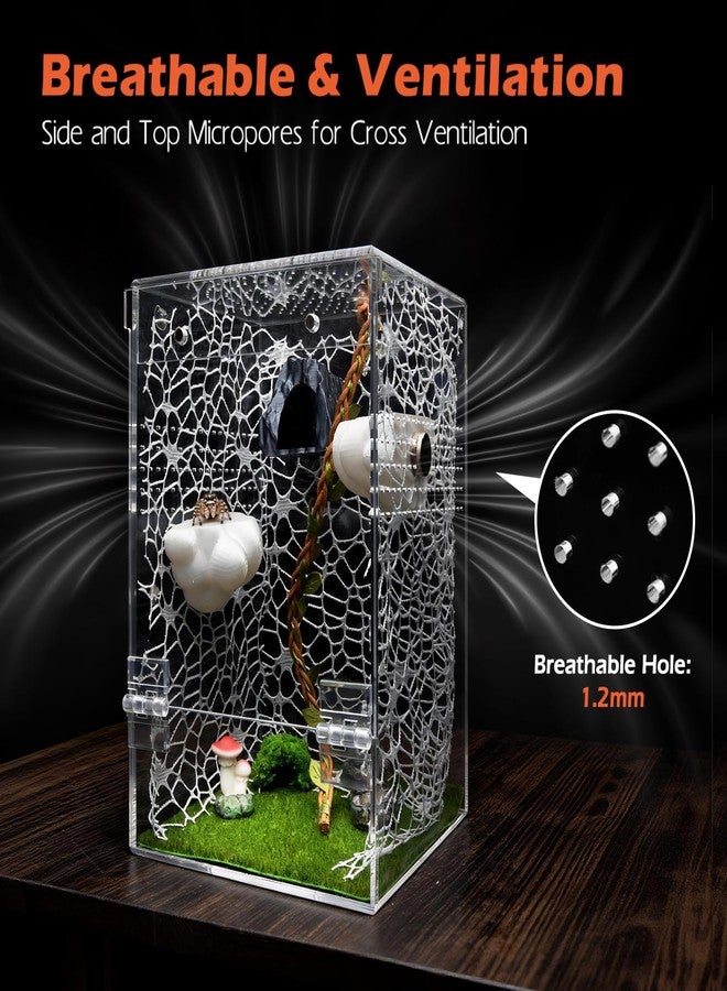 AZV Large Jumping Spider Enclosure Clouds Kit,Escape Proof Praying Mantis Habitat,Magnetic Front Door Tarantula Cribs Ventilation Spider Cage,Transparent Acrylic Reptile Tank,Bug Terrarium,Snail House - Image 3