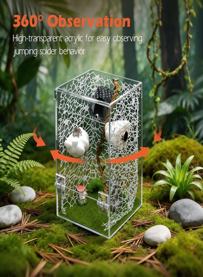 AZV Large Jumping Spider Enclosure Clouds Kit,Escape Proof Praying Mantis Habitat,Magnetic Front Door Tarantula Cribs Ventilation Spider Cage,Transparent Acrylic Reptile Tank,Bug Terrarium,Snail House - Image 4