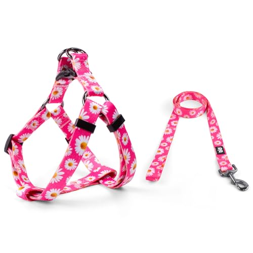QQPETS Dog Harness Leash Set Adjustable Heavy Duty No Pull Halter Harnesses for Small Medium Large Breed Dogs Back Clip Anti-Twist Perfect for Walking (XS(12"-18" Chest Girth), Daisy) - Image 2
