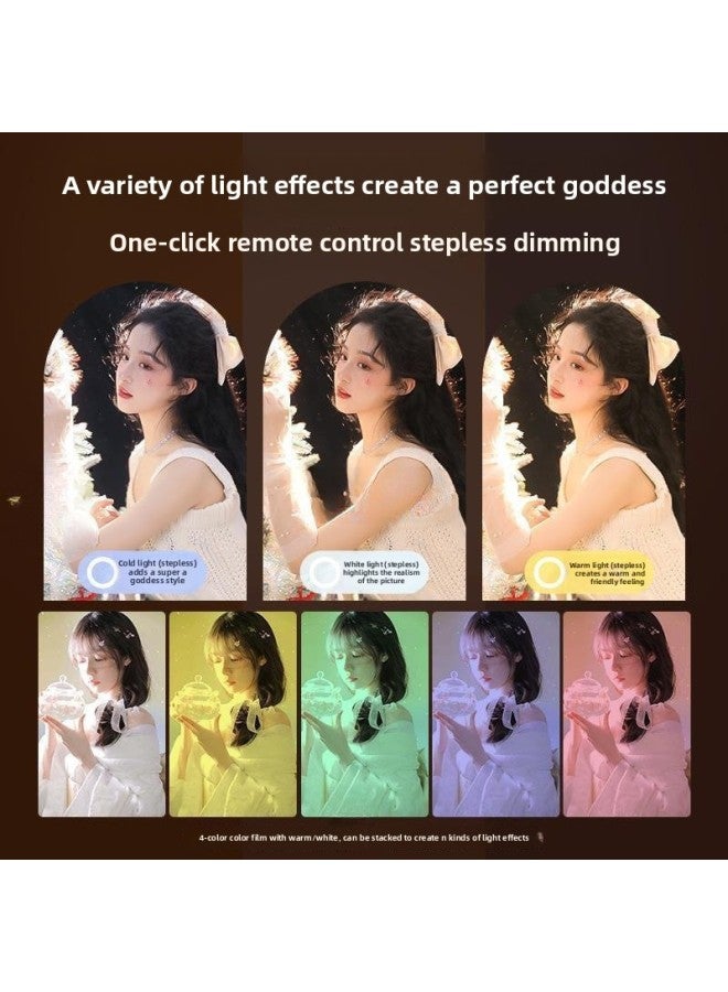 YY01 Fill Light Studio Photography Shooting Light Small Desktop Photo Food Special Light Anchor Beauty-Light Source Color:【three-color Dimmable Soft Light】 Square Lamp + 2.1m Floor Stand - Image 3